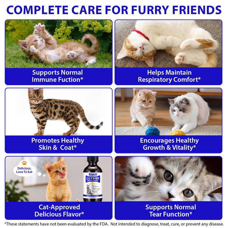 L-Lysine for Cats | 60ml Cat Supplements for Healthy Immune Defenses – Sneezing, Runny Nose, Watery Eye – Feline Respiratory & Vision, Skin & Coat Health – Astragalus, Burdock – Roast Chicken (1) 1