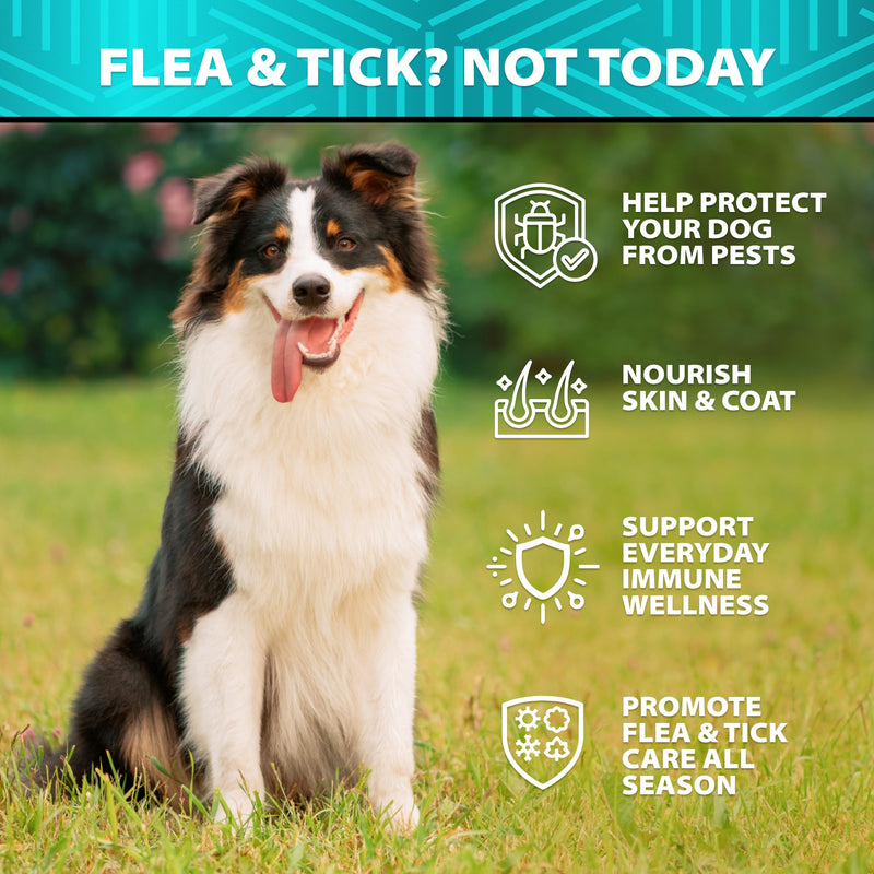 Flea and Tick Prevention for Dogs - No Harsh Chemicals - Natural Answer to Collars, Drops, Sprays - Dog Flea and Tick Treatment - Oral Chewables with Neem, Coconut, Salmon Oil - 120 Soft Duck Chews