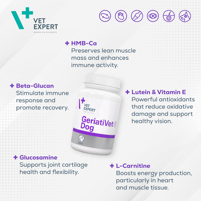 Vet Expert Geriativet Senior Dog Supplement | Enhances Energy Metabolism, Joint Health, and Immune Function | HMB-Ca, Omega-6, β-Glucan, L-Carnitine, Glucosamine, Lutein, and Vitamin E | 45 Capsules