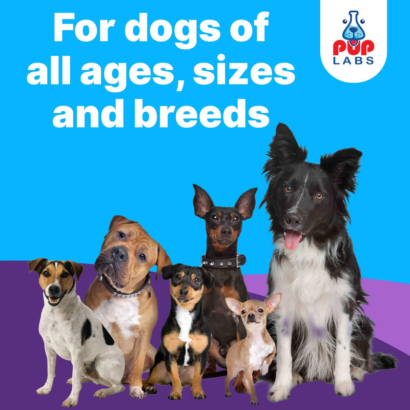 Freedom Joint Drops & Chews Bundle for Dogs, All-Natural Joint Supplements for Pain Relief, Mobility & Hip Support