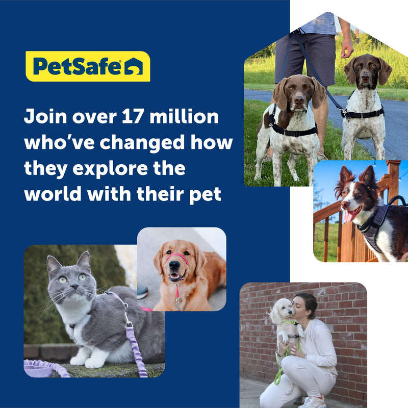 PetSafe Easy Walk Deluxe Dog Harness, No Pull Dog Harness – Perfect for Leash & Harness Training – Stops Pets from Pulling and Choking on Walks – Large, Ocean Large (Pack of 1) - BeesActive Australia