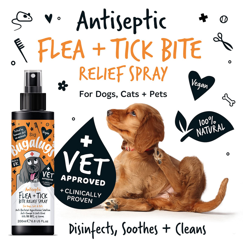 BUGALUGS Insect Bite Relief Antiseptic spray for dogs 200ml, puppy, cats & pets - Dog grooming Antibacterial, Antifungal for dog itchy skin relief - use alongside our flea shampoo for dogs