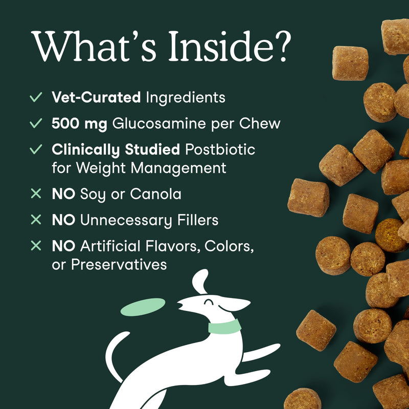 Fera Pets Joint & Mobility Support Bundle for Dogs – Hip & Joint Chews + Fish Oil for Stiffness, Flexibility & Healthy Movement