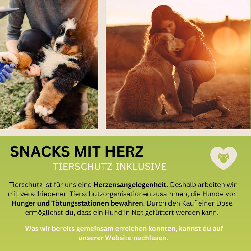 PawNutrio® - Digestive drops with prebiotics for dogs I supports grass and feces eating I diarrhea & heartburn I 100% natural I approx. 120 pieces. I Monoprotein I Hypoallergenic 300 g (1 x can) - BeesActive Australia