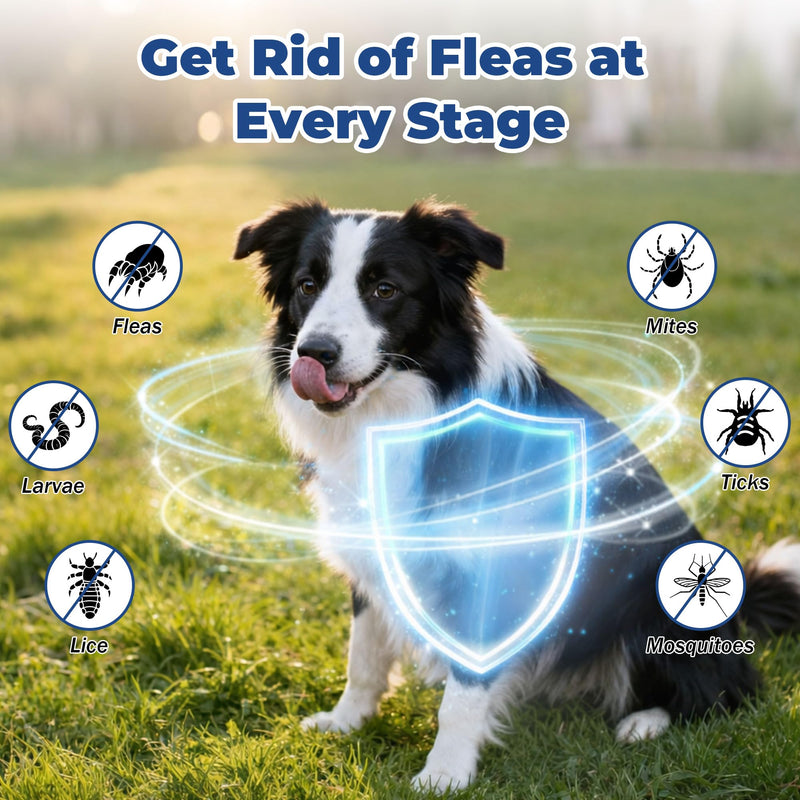 Flea and Tick Treatment for Dogs (nitenpyram), Fast-Acting Oral Flea Treatment for Dogs Over 25+ lbs, Flea Medication Tablets Start Killing in 30 Minutes, 6 Doses