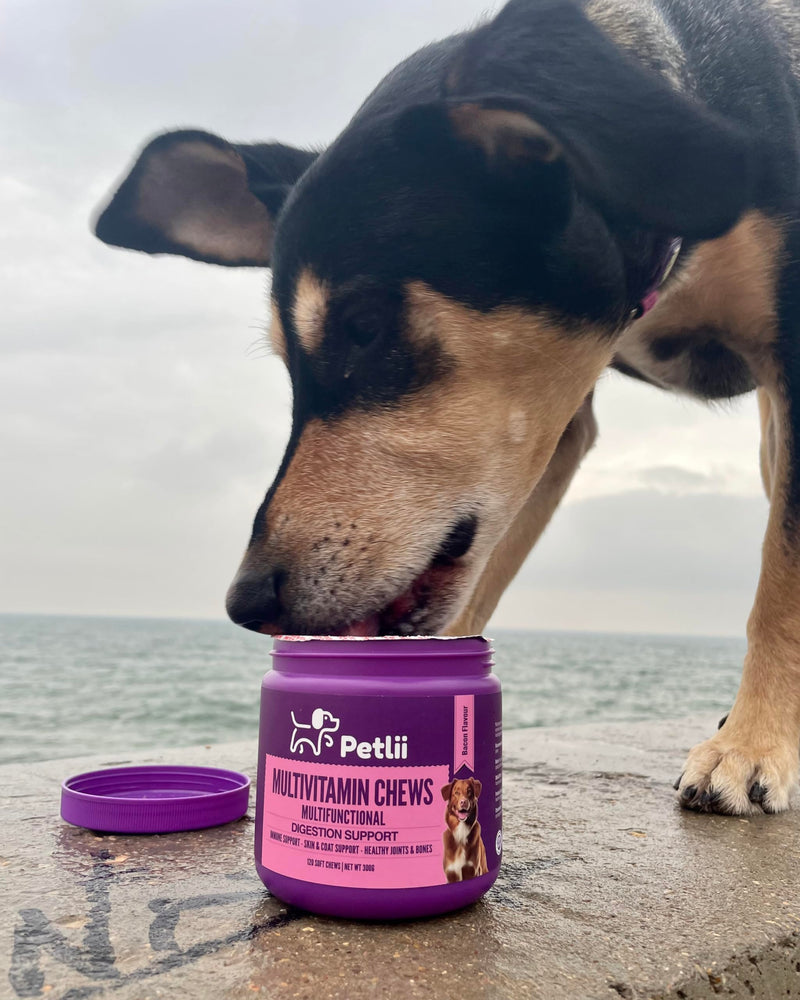 Multivitamin Chews - 120 Bacon Dog Chews | Vitamins, Omegas and Probiotics | Healthy Joints and Gut, Prevent Itching and Improve Vitality