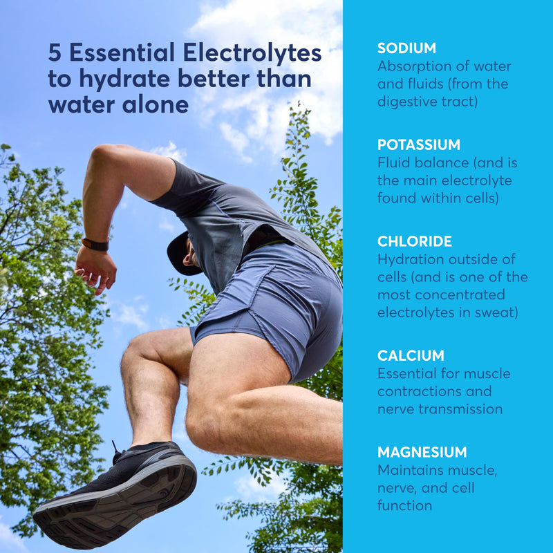 Nuun Sport Electrolyte Powder Packets with Magnesium, Calcium, Potassium, Chloride, and Sodium, Hydration Packets for On-The-Go, All Out Orange Flavor, Gluten Free & Vegan, 16 Single Servings 1 Pound (Pack of 1)