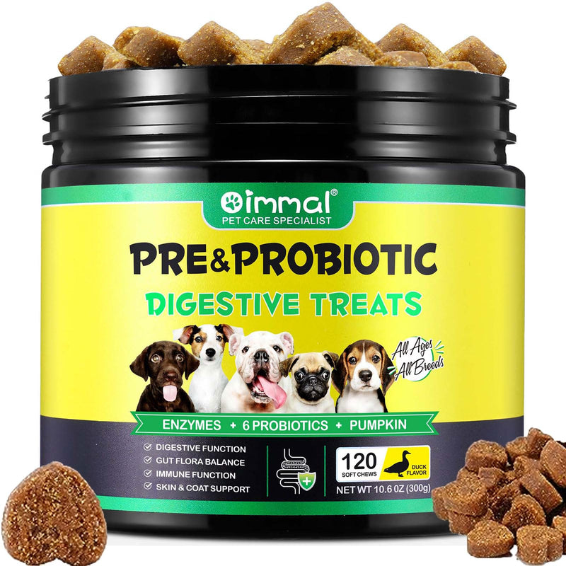 Probiotics for Dogs, Dog Probiotics for Dogs Digestive Enzymes, Gut Health, Itchy Skin, Allergies, Yeast Balance, Immune System and Overall Health Supports, 120 chews/300g