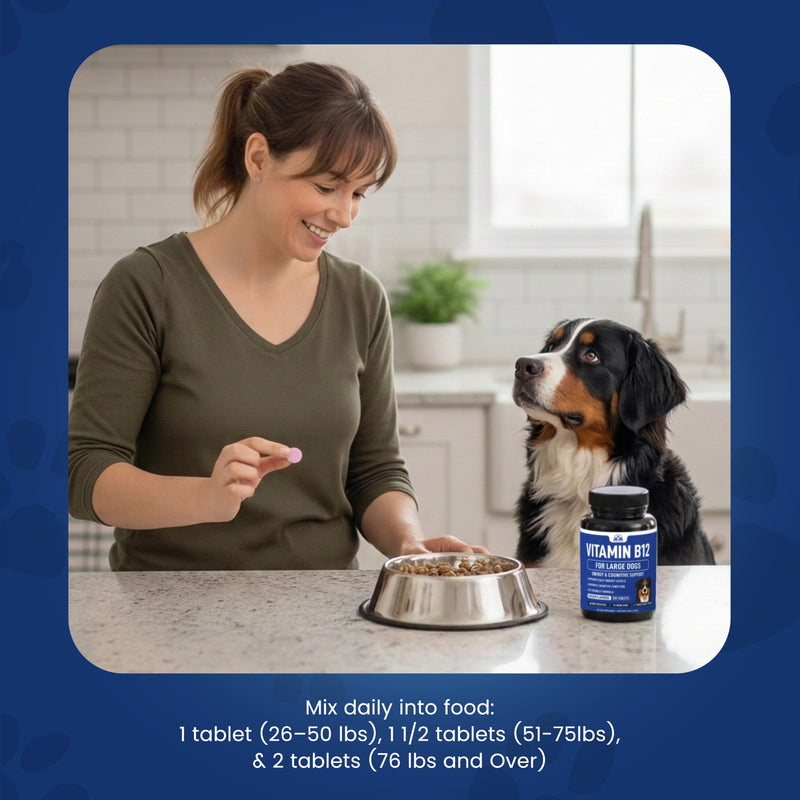 Vitamin B12 Supplement for Medium & Large Dogs with Cobalamin, Folate - Vitamin B12 for Dogs Tablet Energy & Cognitive Support - 120 Chicken Flavored Chewable Tablets -Third Party Tested, Non GMO Medium & Large Dogs (120 Count)