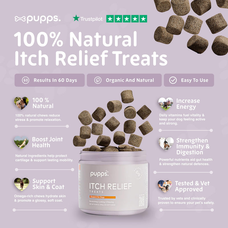 Pupps Itch Relief Dog Treats – 120 Natural Anti-Itch Chews for Dogs | Soothes Itchy Skin, Paws & Ears | With Colostrum, Turmeric & Salmon Oil | Allergy & Skin Support | Vet Approved, UK Made 120 x Chews
