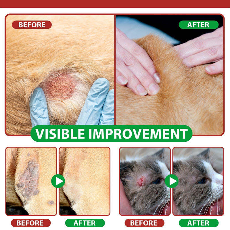 Vet-Recommended Cat Hot Spot Spray 100ml | Quantum Silver & Herbal Formula | Anti-Itch Skin Recovery Spray | Lavender Calming | Alcohol-Free Wound Care for Kittens & Cats