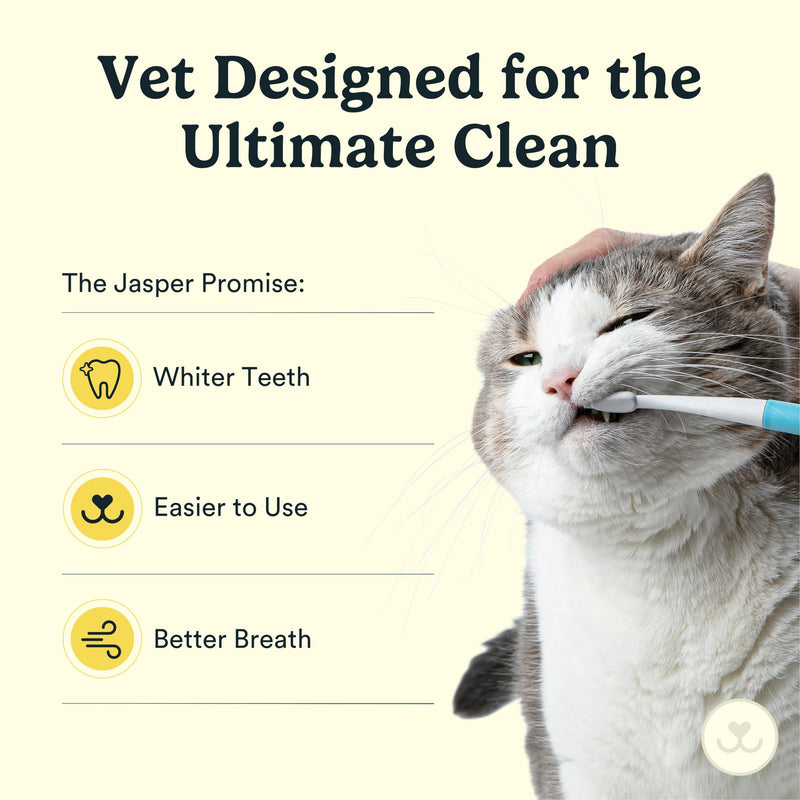 Jasper Microbrush Cat Toothbrush, Soft-Bristled Cat Toothbrush Kit for Cats, Puppies and Small Dogs, Premium Non-Slip Handle with 2 Replaceable Tooth Brush Heads, Use with Cat Toothpaste - BeesActive Australia