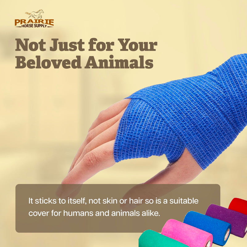 Prairie Horse Supply 24 Rolls Assorted Self Adhesive Bandage Wrap 4 Inch Elastic Cohesive Vet Tape for First Aid, Medical, Sport & Animals Wound - BeesActive Australia