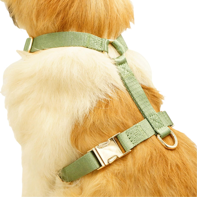 Nylon No Pull Dog Harness with Gold Metal Buckles,Easy Walking and Training Dog Harness (Sage Green, L) Sage green - BeesActive Australia