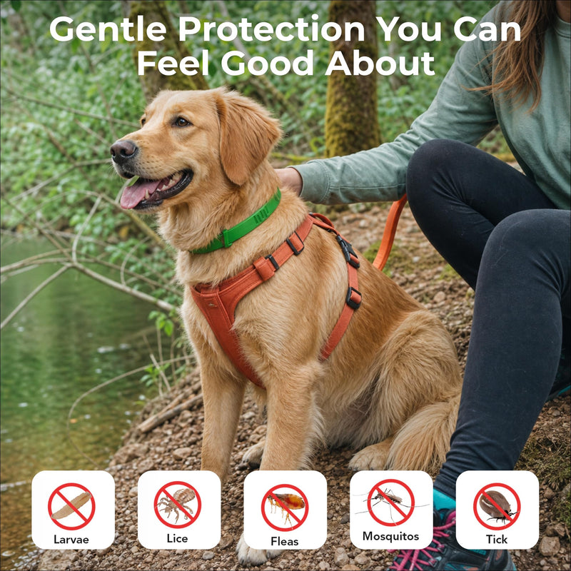 FurLife Flea and Tick Collar for Dogs – Waterproof Red Dog Collar, Pet Supplies for Tick and Flea Prevention for Dogs, Safe for All Breeds