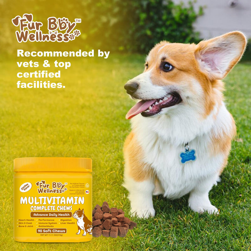 Daily Dog Multivitamin, Chewable Dog Vitamins and Supplements for Hip & Joints, Skin & Coat, Probiotics & Omega 3 Fish Oil for Dogs - Senior & Puppy Multivitamin - 90 Chews