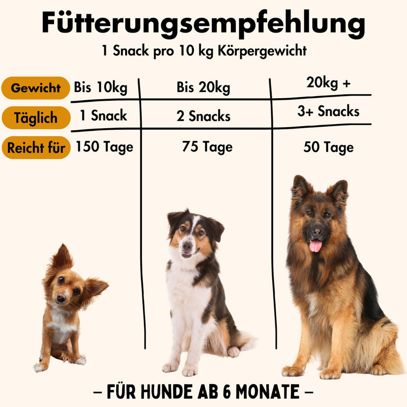 KUINEA® All-in-One vitamins for dogs as a treat I approx. 5-MONTH SUPPLY I Supports: digestion, bones & joints, immune system, coat health, dietary supplement dog 150 snacks (400g) - BeesActive Australia