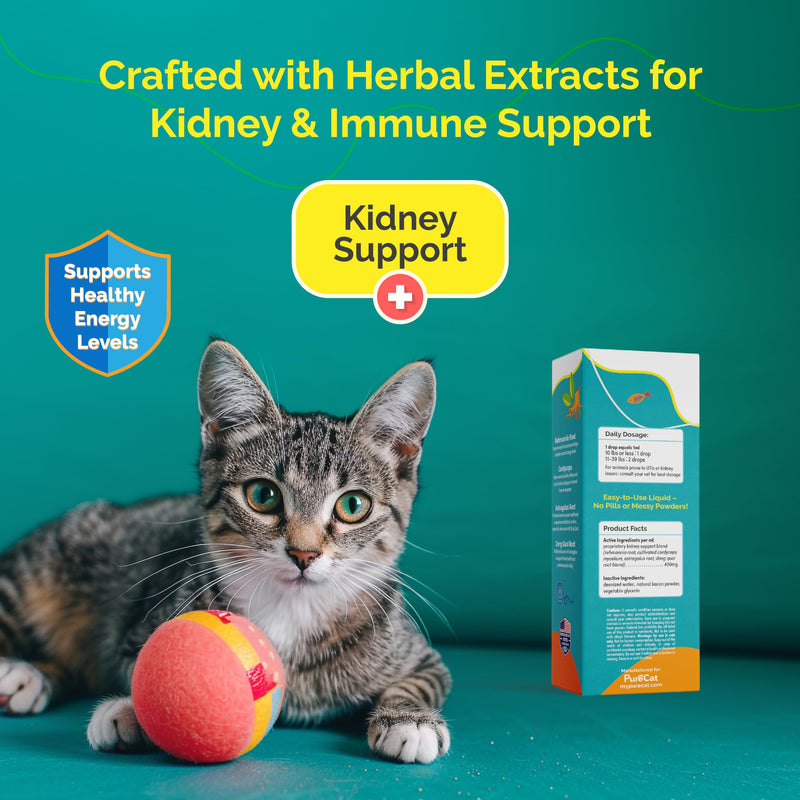 Kidney Support Drops | Cat Health & Wellness Drops with Rehmannia | Liquid Vitamins & Supplements for Kidney Function | Natural Cat Wellness Formula | 80 ml