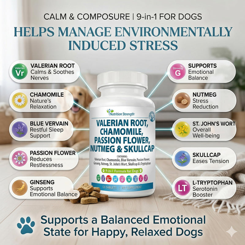 9-in-1 Valerian Root for Dogs 200mg, Chamomile 160mg, Blue Vervain, Passion Flower, Ginseng, Nutmeg, St John's Wort, L-Tryptophan for Dog Stress Relief & Calming, 120 Tablets
