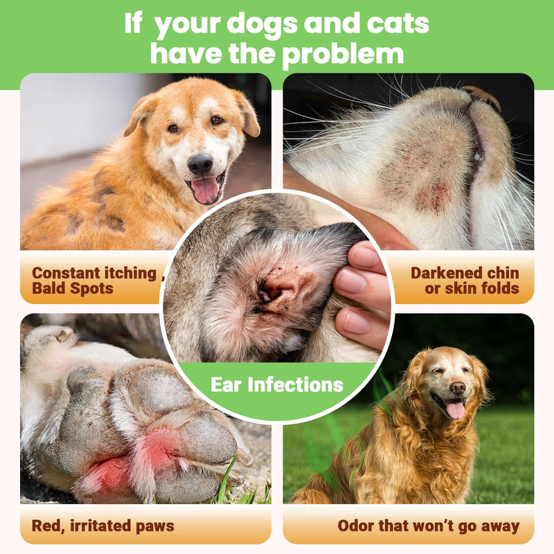 Yeast Infection Treatment for Dogs & Cats-Natural Fast Relief Drop for Itchy Skin, Ears & Paws Redness -Supports Allergy, Inflammation & Immune Health,2 fl oz Salmon Flavor(2 Pack) 2 Pack