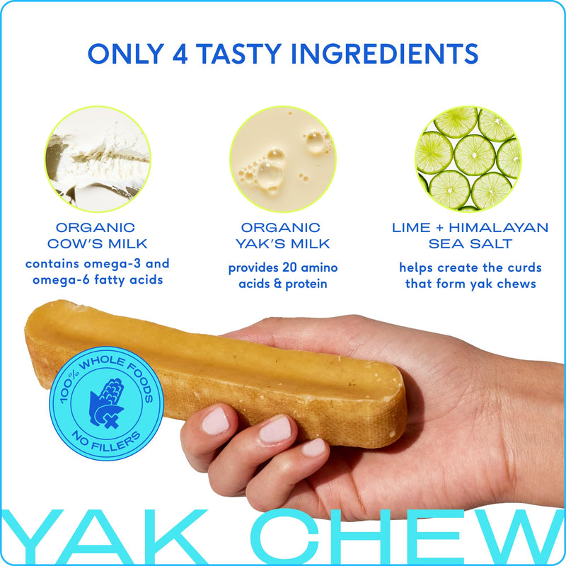 Native Pet Gut & Gnaw Bundle: 60 Scoops GutWell Power Poop - Digestive Enzymes & Fiber for Dogs & 3 Medium Yak Cheese Himalayan Dog Chews - Long Lasting Dental Sticks