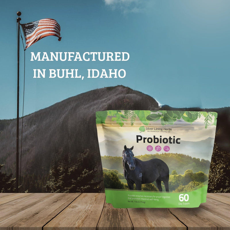 Silver Lining Herbs Horse Probiotic - Micro Encapsulated Probiotics for Equine Digestive Support and a Healthy Gut - Natural Source of Beneficial Bacteria and Enzymes - 1.25 lb Bag - PawsPlanet Australia