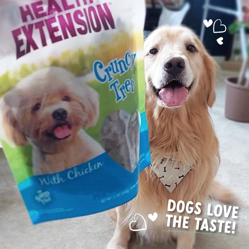 Health Extension Heart-Shaped Crunchy Biscuits, 12oz (340g) – Chicken Flavor, GMO-Free Dog Training Treats for Small Breeds, Added Vitamins & Minerals 12 Ounce (Pack of 1)
