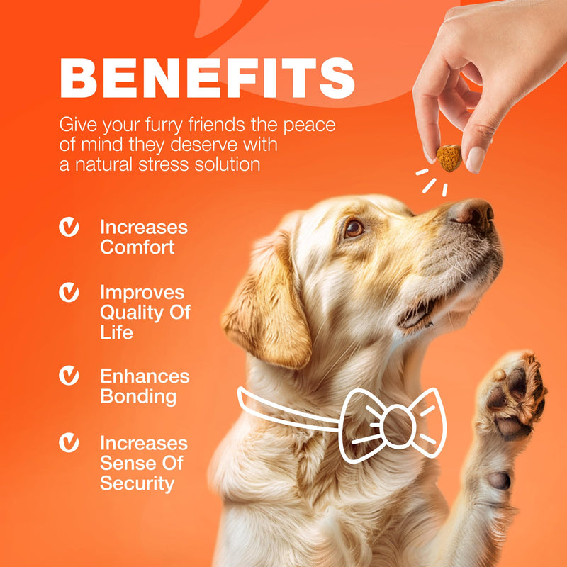 Glucosamine for Dogs - Joint Supplement for Dogs - Glucosamine Chondroitin - 180 Hip and Joint Care Mobility Chews - MSM, Turmeric - Advanced Mobility Support - Bone Health - Large and Small Breeds 180 count Hip & Joint Chews