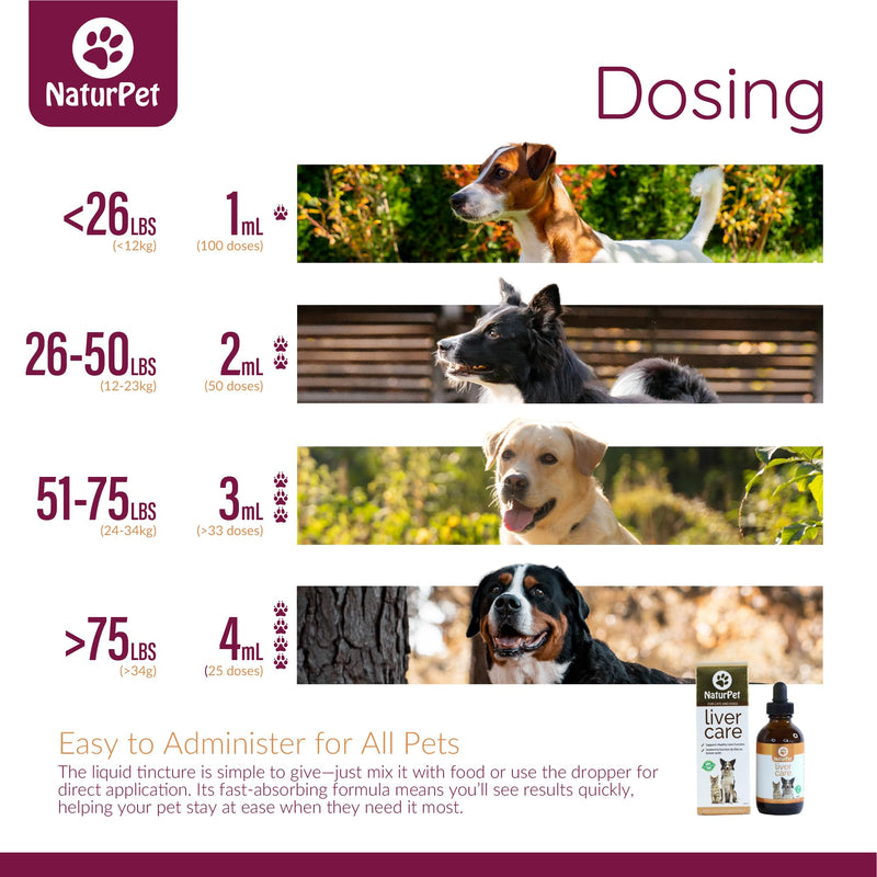 Liver Care for Cats and Dogs | Liver Health & Detox Support | 100 mL Herbal Tincture