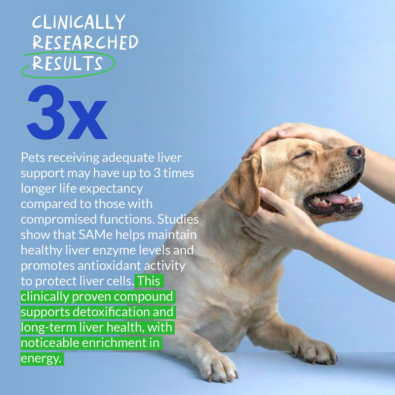 Same for Dogs 90 Soft Chews - Liver, Brain & Cognitive Support | S-Adenosyl-L-Methionine in 90 soft chews. Promotes liver function, cognitive support & mood balance for dogs. SAMe Soft Chews