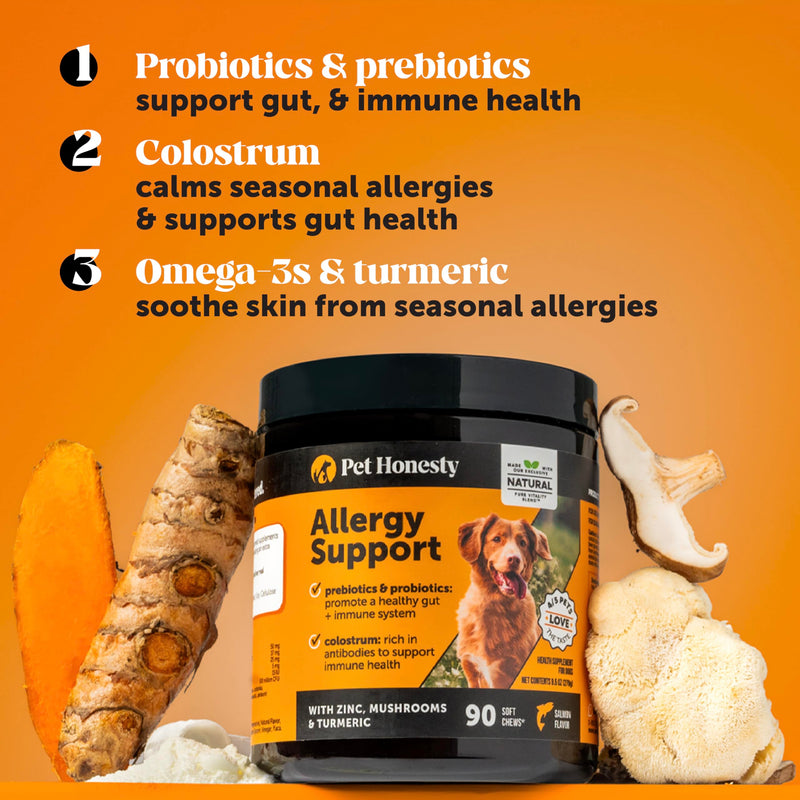 Pet Honesty Dog Wellness Virtual Bundle – Allergy Relief Immunity Chews (Salmon, 90 Ct) + Brush Buddies Dental Sticks for Extra Small Dogs (40 Ct) – Itch Support, Plaque & Breath Care