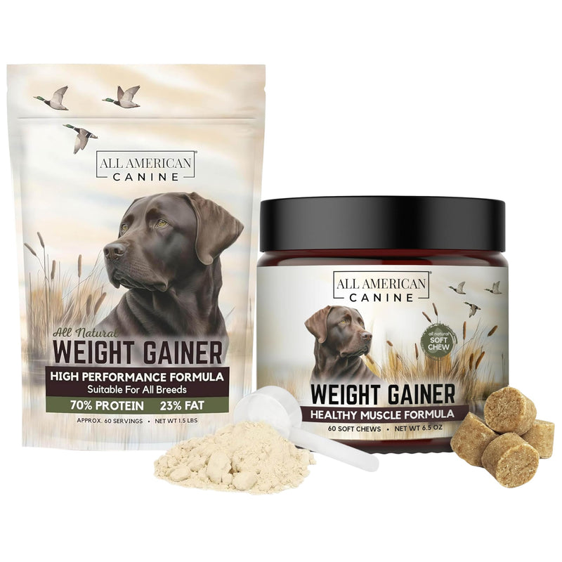 All American Canine Dog Weight Gainer Powder and Chews - High Calorie Food Supplement, Premium Quality Weight Gainer, Mass, Recovery, Appetite Stimulant
