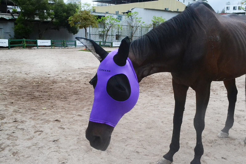 Super Comfort Horse Fly Mask Elasticity Fly Mask with Ears UV Protection for Horse(XL,Purple) purple XL - BeesActive Australia