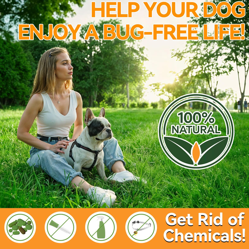 Lawn Spot & Flea Chews for Dogs - 200 Each - Flea & Tick Prevention with Skin Support + Grass Burn Spot Chews with Probiotics & DL-Methionine - Chicken Flavor
