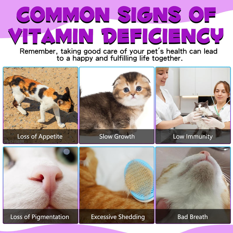 15-in-1 Cat Multivitamin Drops, Vitamins and Supplements for Cats - Liquid multivitamins for cats support immune health, hip and joint health - BeesActive Australia