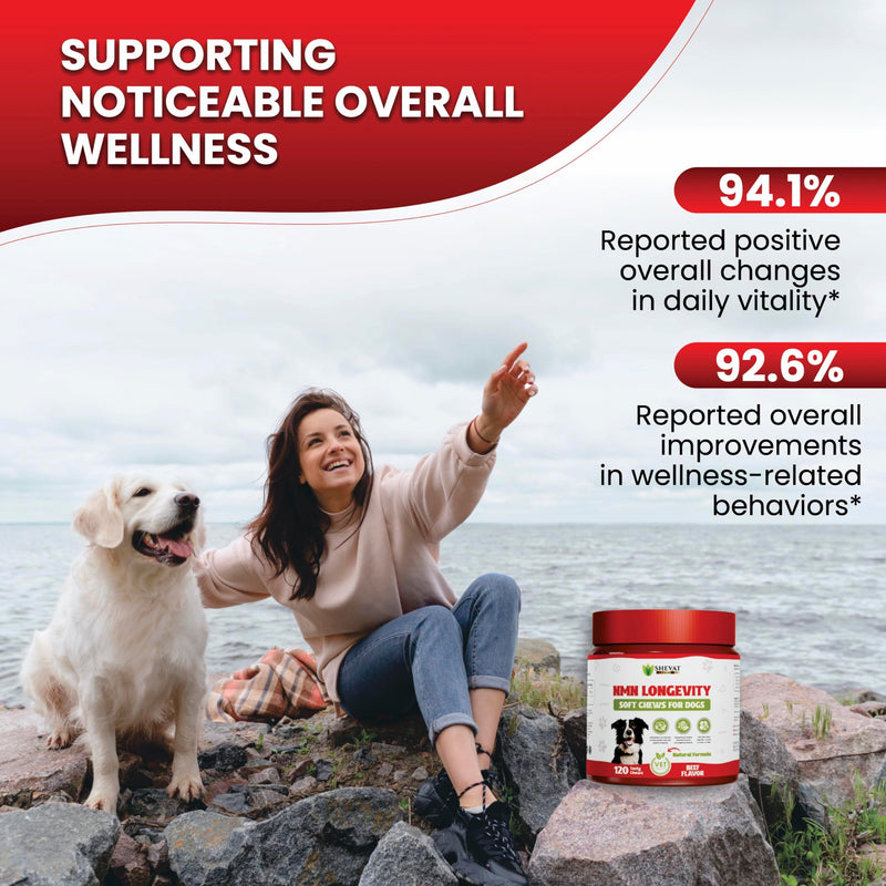 NMN Longevity Soft Chews for Dogs – Beef Flavored – Antioxidant Support for Joint Health, Immune Function, and Cellular Protection – 120 Count