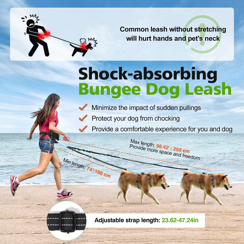 Hands Free Dog Leash 2 Dogs, Adjustable Waist Leash for Dog Walking with Dual Bungees Padded Handle, Shock Absorbing Hands Free for Small Medium-Sized Dogs Outdoor Activities, Black+Blue 2 Leashes - BeesActive Australia