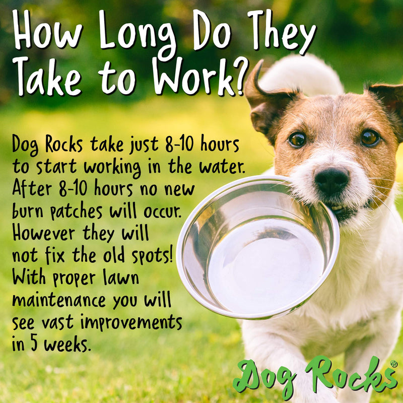 Dog Rocks 100% Natural Urine Patch Preventer - 200g Bag
