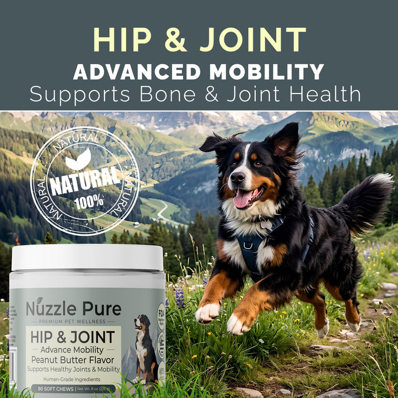 Nuzzle Pure Advanced Dog Hip and Joint Supplement with Glucosamine, Chondroitin, MSM, 80 Peanut Butter Flavor Soft Chews for Senior & All Ages, Human Grade, All Natural & Organic Ingredients.