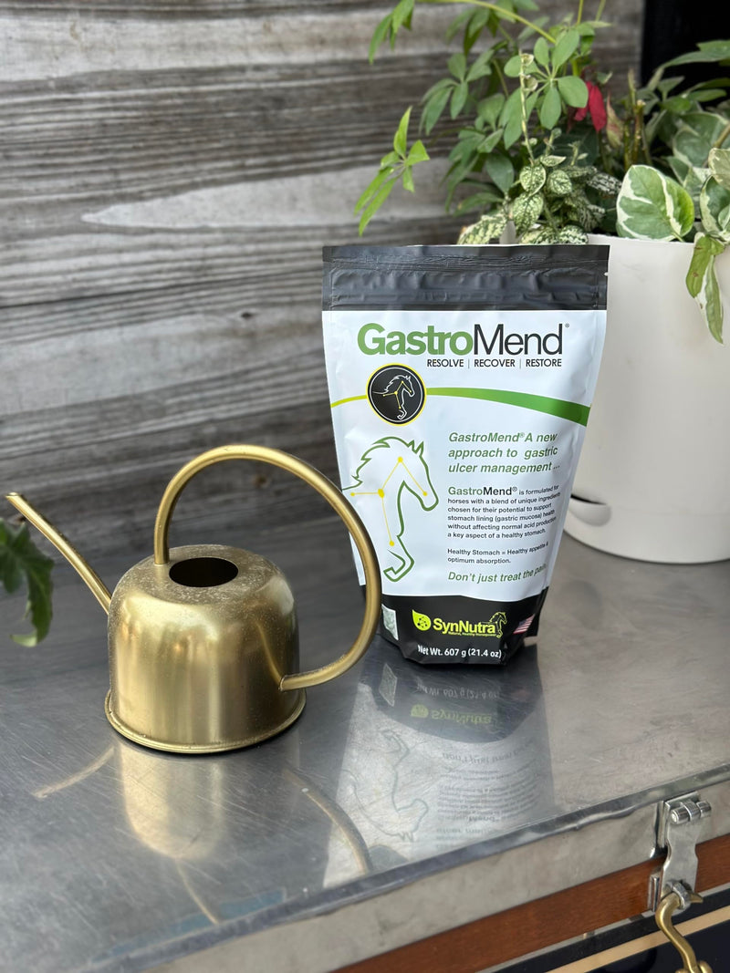 GastroMend® Gastrointestinal Health Supplement for Horses, 100% Natural, Promotes Stomach and Gut Health in Equines, Cost-Effective Digestive Wellness, 60 Servings per Pouch, Made in The USA - BeesActive Australia