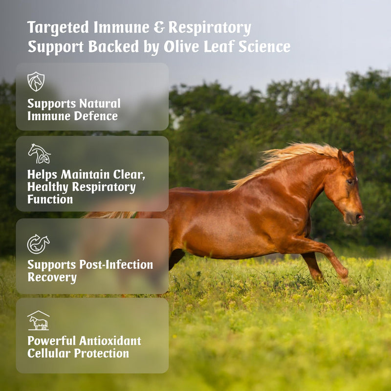 EquiBreathe Immunefix for Horses | 240 Easy-Open Capsules - 4 Months Supply | Immune Health & Respiratory Health Support, Post-Infection Recovery, Antioxidant for Horses | Made in the UK