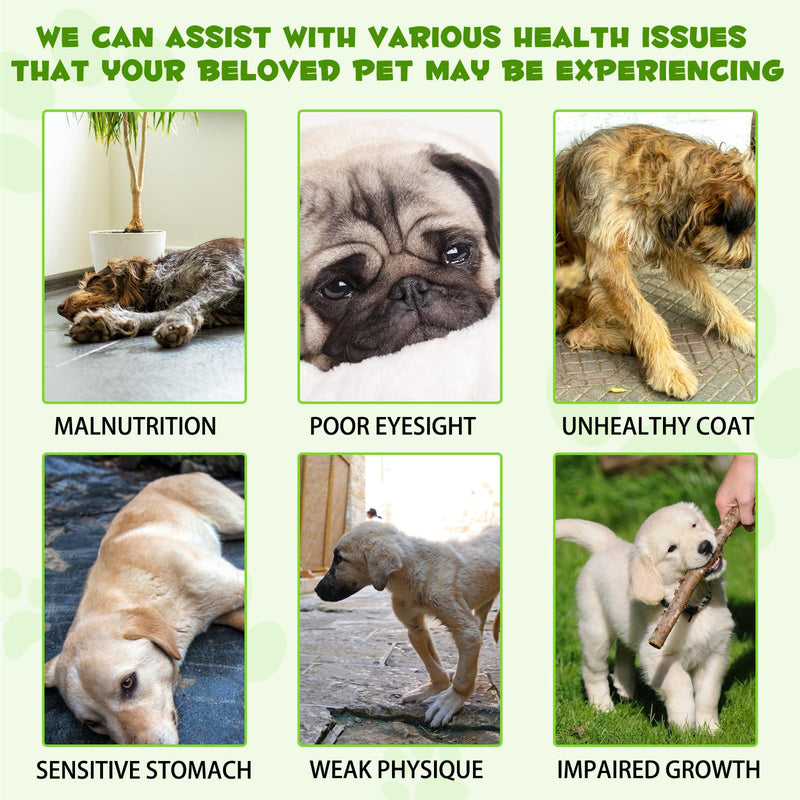 Probiotic For Dogs, 60ml Probiotic Drops For Dogs, Probiotics To Support Gut Health, Immune Enhancement, Relief Of Gastrointestinal Discomfort, Pre & Probiotics With Enzymes