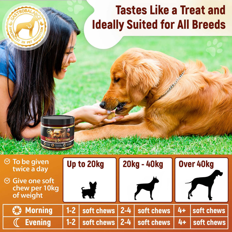 dog scooting treatments - Natural scoot stopper for itching dog - 60 tasty soft chews to stop dog scooting (Chicken flavour) Chicken flavour