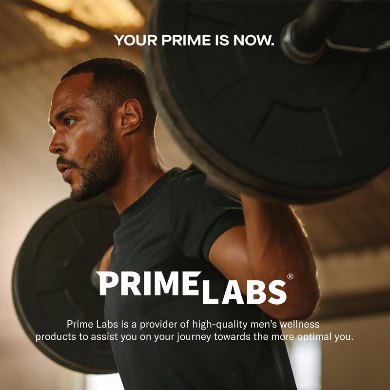 Prime Labs Tongkat Ali for Men - Plus Organic Black Maca Root - Enhanced Performance - Renewed Vitality - Tongkat Ali Extract, Maca Root Powder, Tribulus Terrestris - 60 Capsules - BeesActive Australia