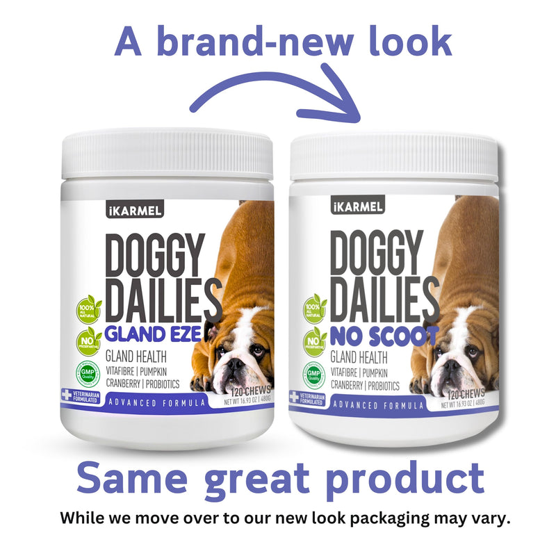 Doggy Dailies | Advanced Anal Gland Support Chews for Dogs | No Scoot Pet Supplements | Fibre Supplement With Pumpkin Powder for Dogs | Dog Digestion Tablets Formulated by Vets | 120 120 Count (Pack of 1)