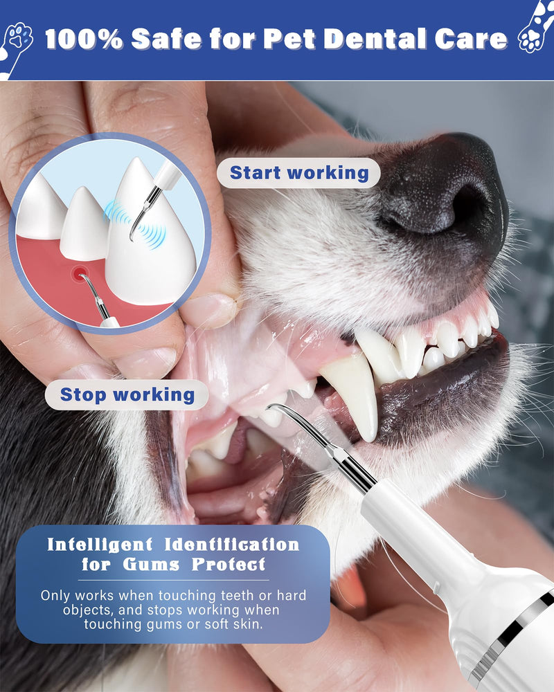 Plaque Remover for Teeth, Pet Tooth Brushing Kit, Dental Tools to Remove Plaque and Tartar, Safe for Dog and Cat, with LED Light, White