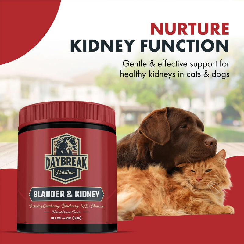 Bladder and Kidney Relief for Dogs & Cats by Daybreak Nutrition | Powder Cranberry Supplement for Dogs and Cat for UTI Treatment & Urinary Support | Dog & Cat Urinary Tract Infection Remedy Supplement 30 Servings - BeesActive Australia