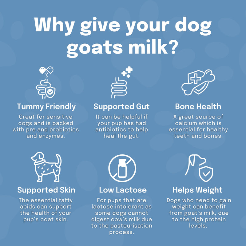 Buddy & Lola Goats Milk Powder for Dogs & Cats | Digestive Dog Health | Low Lactose Formula for Dog & Puppy | Perfect for Hydration | Suitable for Puppies & Dogs of all ages | Nutrient Rich