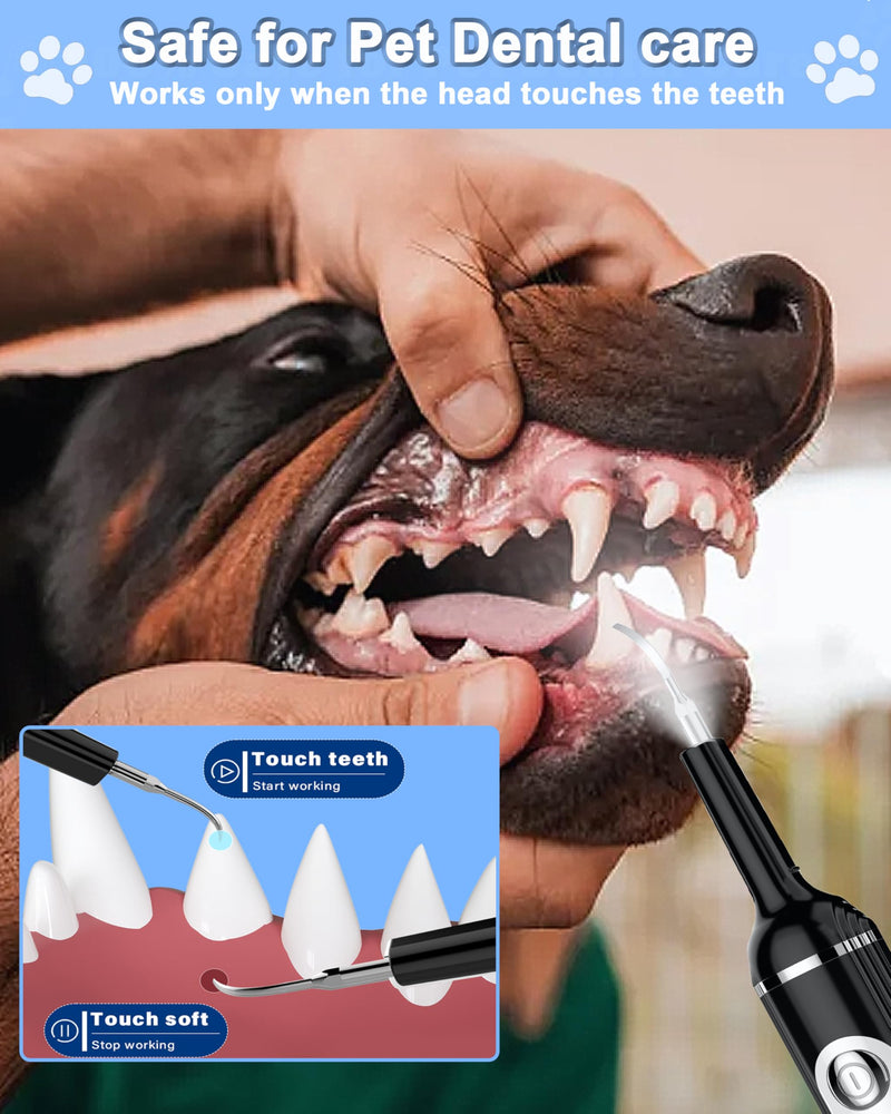 Stim-U-Dent Dog Plaque Remover for Teeth, Pet Teeth Cleaning Products for Tartar & Plaque Off, with LED-Light, Dog Toothbrush for Dental Care, Finger Toothbrush Black 1 count (Pack of 1)