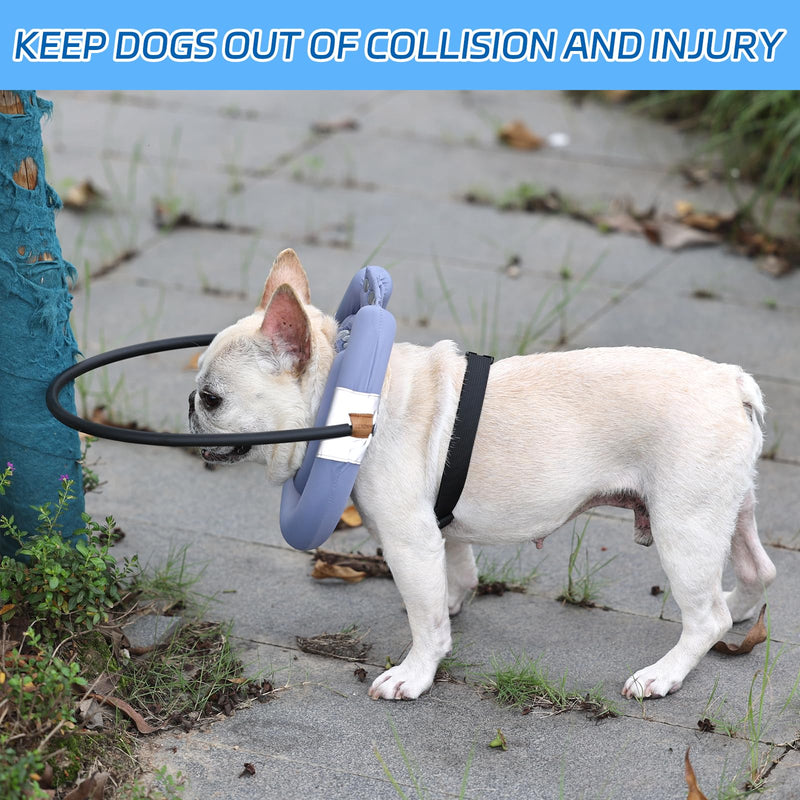 Blind Dog Halo,Blind Dog Harness, Lightweight Halo for Dogs&Cats, Adjustable Guiding Device Protects Pets from Collision, Builds Confidence, Purple (S) Small - BeesActive Australia